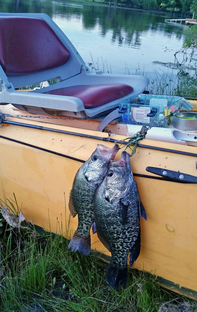 pair-of-black-crappie-hanging-on-the-kayak-side