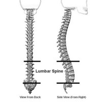 Lumbar Spine and Kayak Back Pain – STABLE KAYAKS AND MICROSKIFFS MADE ...