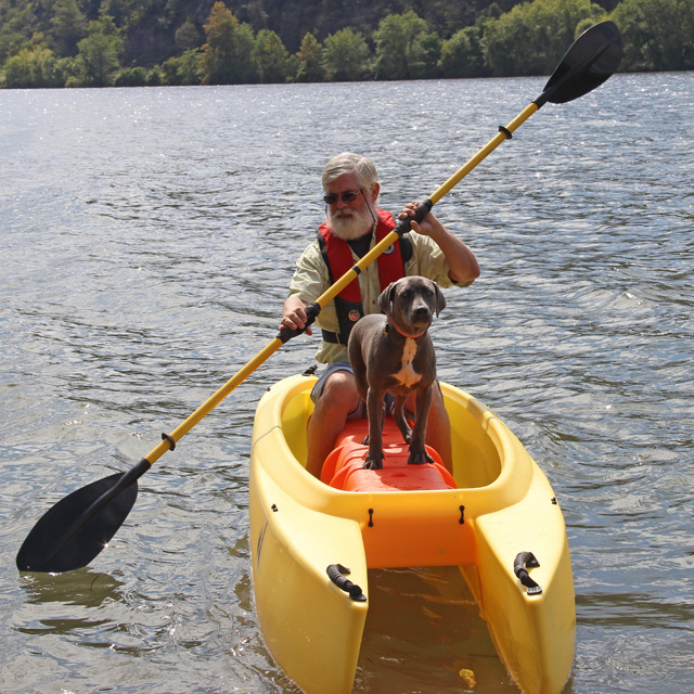 Dog on Board – Dog Platform – STABLE KAYAKS AND MICROSKIFFS MADE