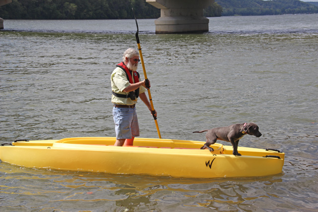 Looking for The Best Kayak Dog Platform?