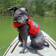 Wavewalk 700 kayak review with a DIY dog platform
