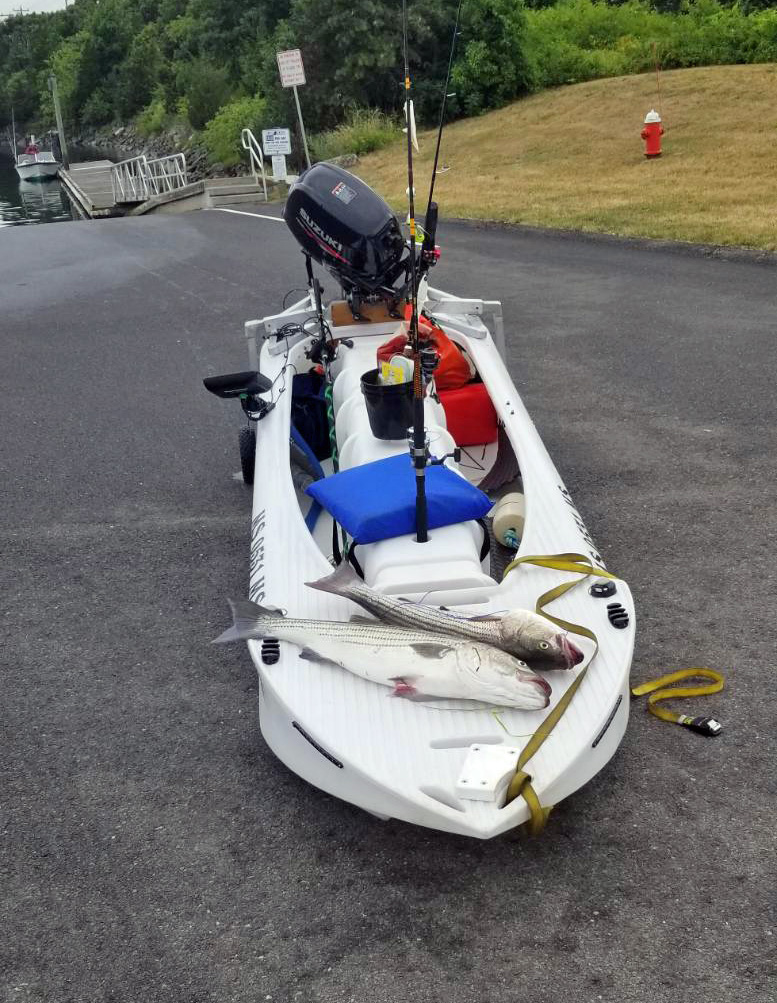 two stripers caught offshore in a Wavewalk S4 motor fishing kayak