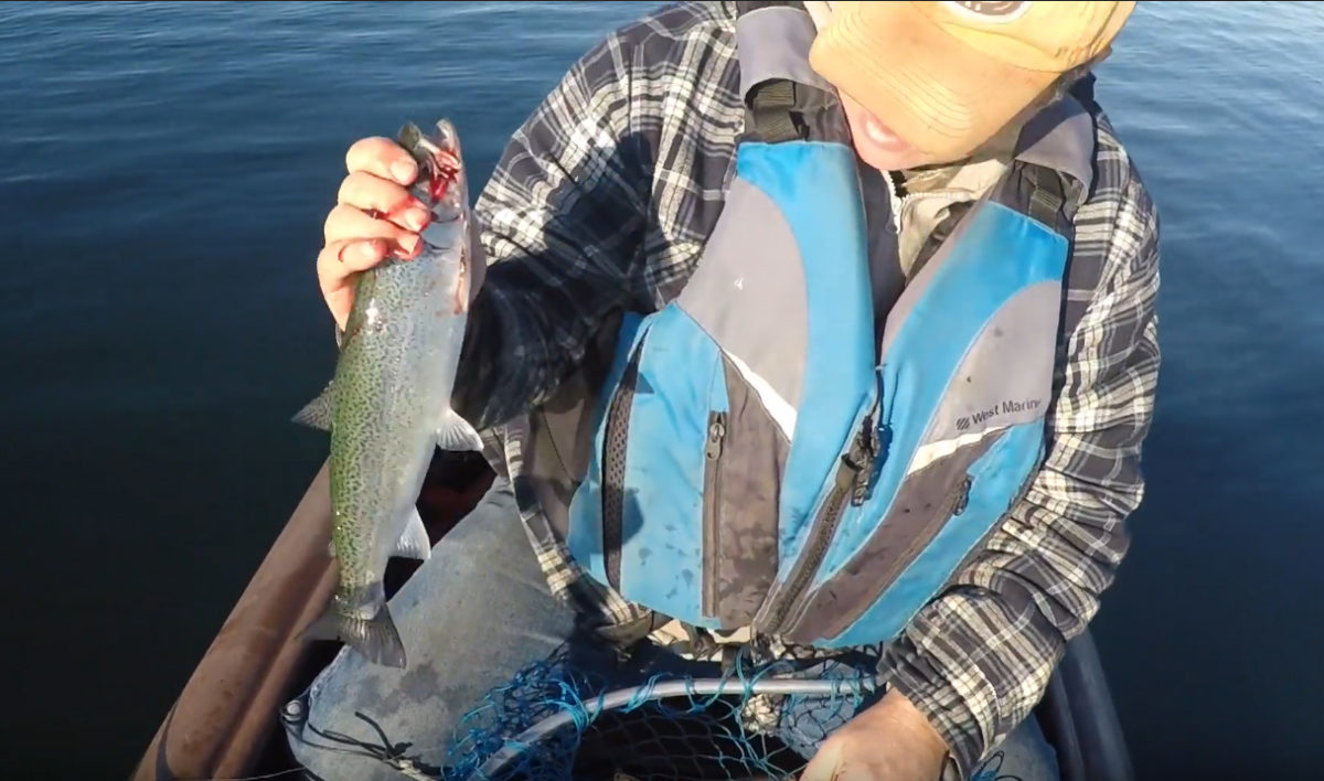 S4 kayak angler shows cutthroat trout
