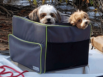 Two Havanese dogs on board a cartop skiff