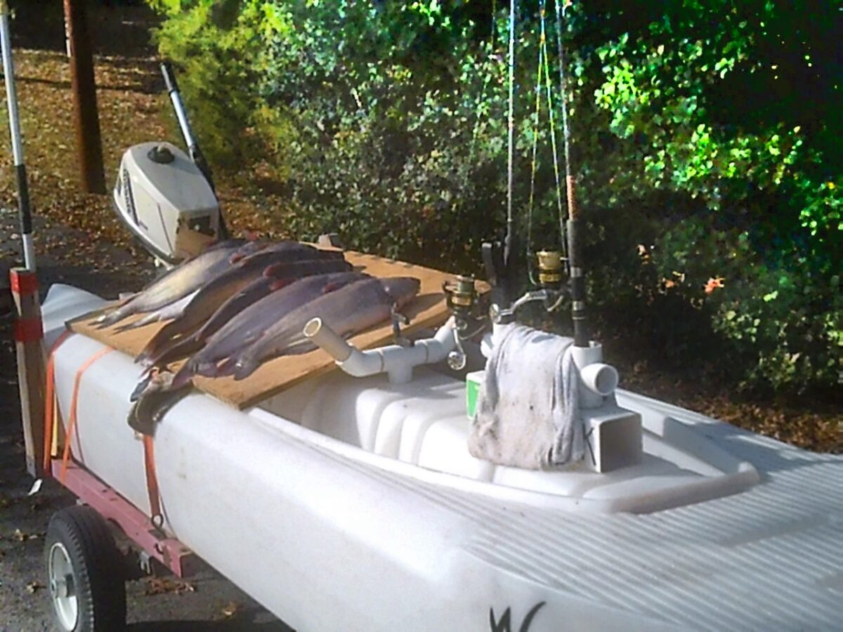 S4 microskiff with blue catfish MD