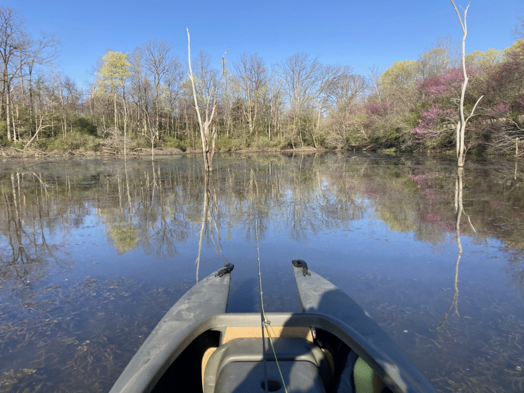 W720 kayak skiff view from the cockpit IN
