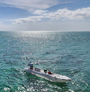 Manitenance-Free Boat