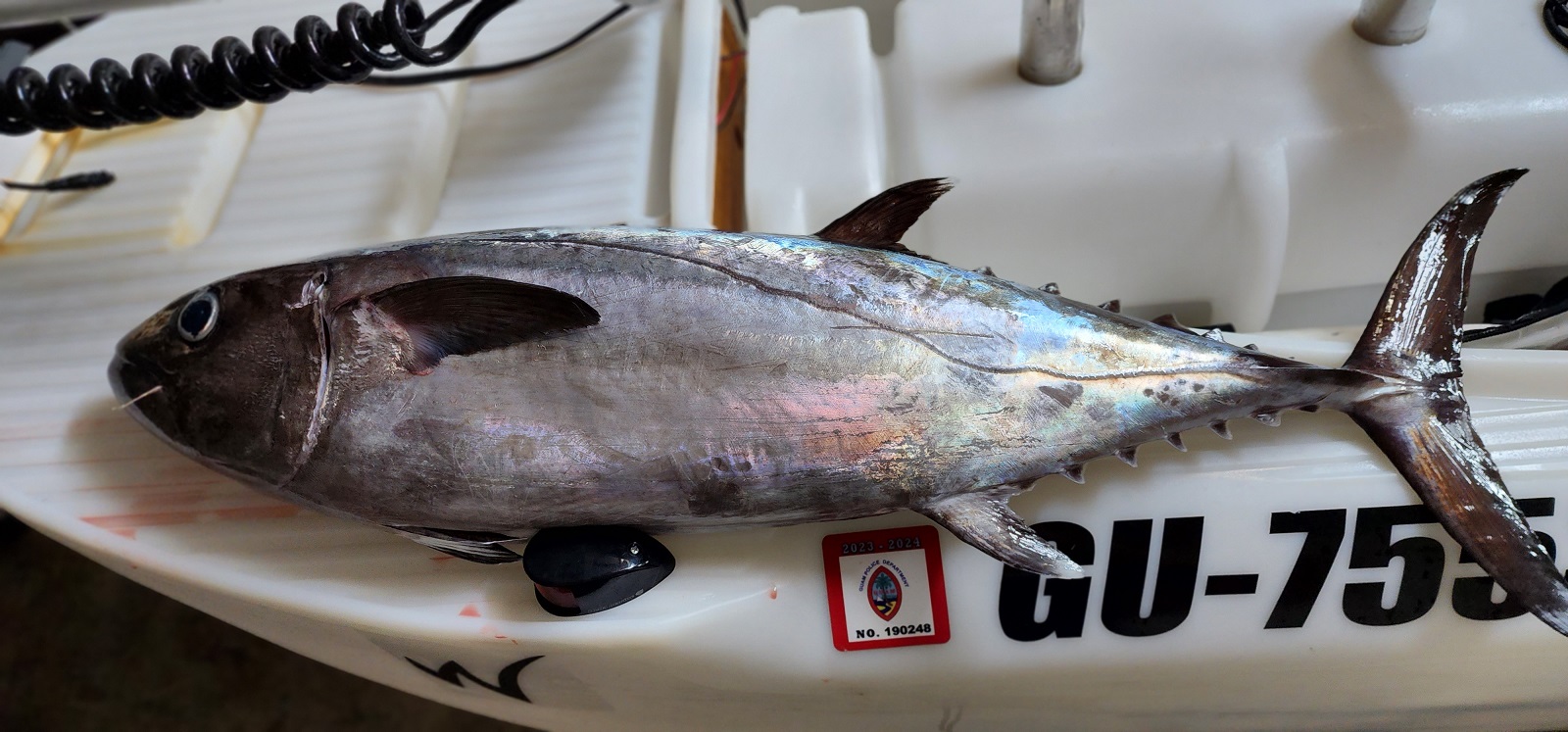 Guam fishi on S4 Microskiff casting platform