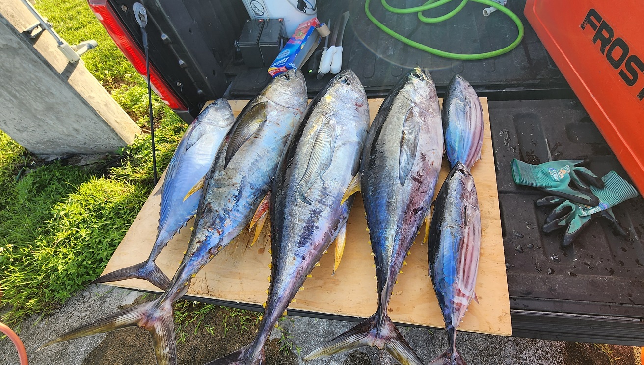 fish caught from an S4 micoskiff in Guam