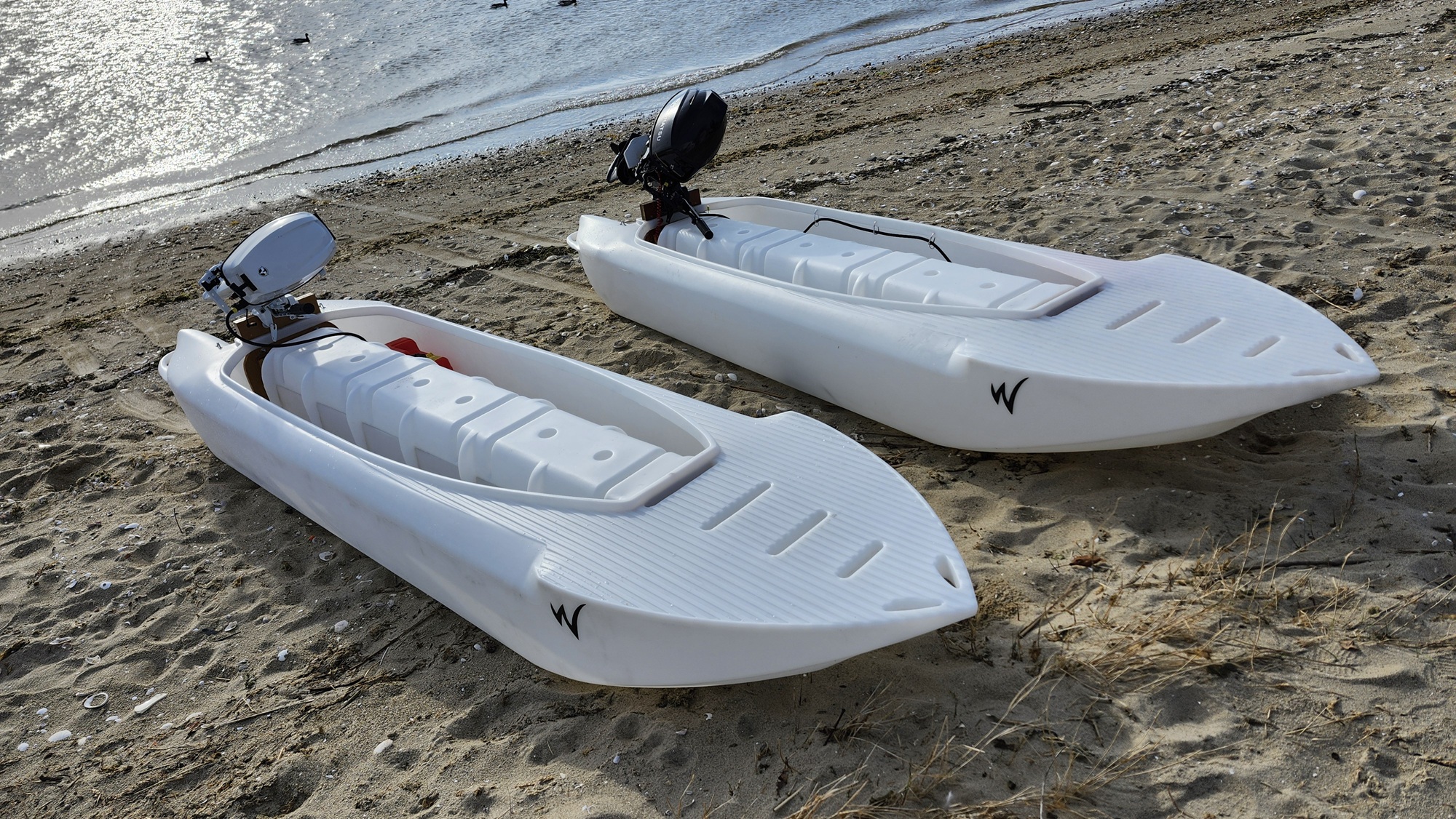 S4 Duo Disassembled and Beached
